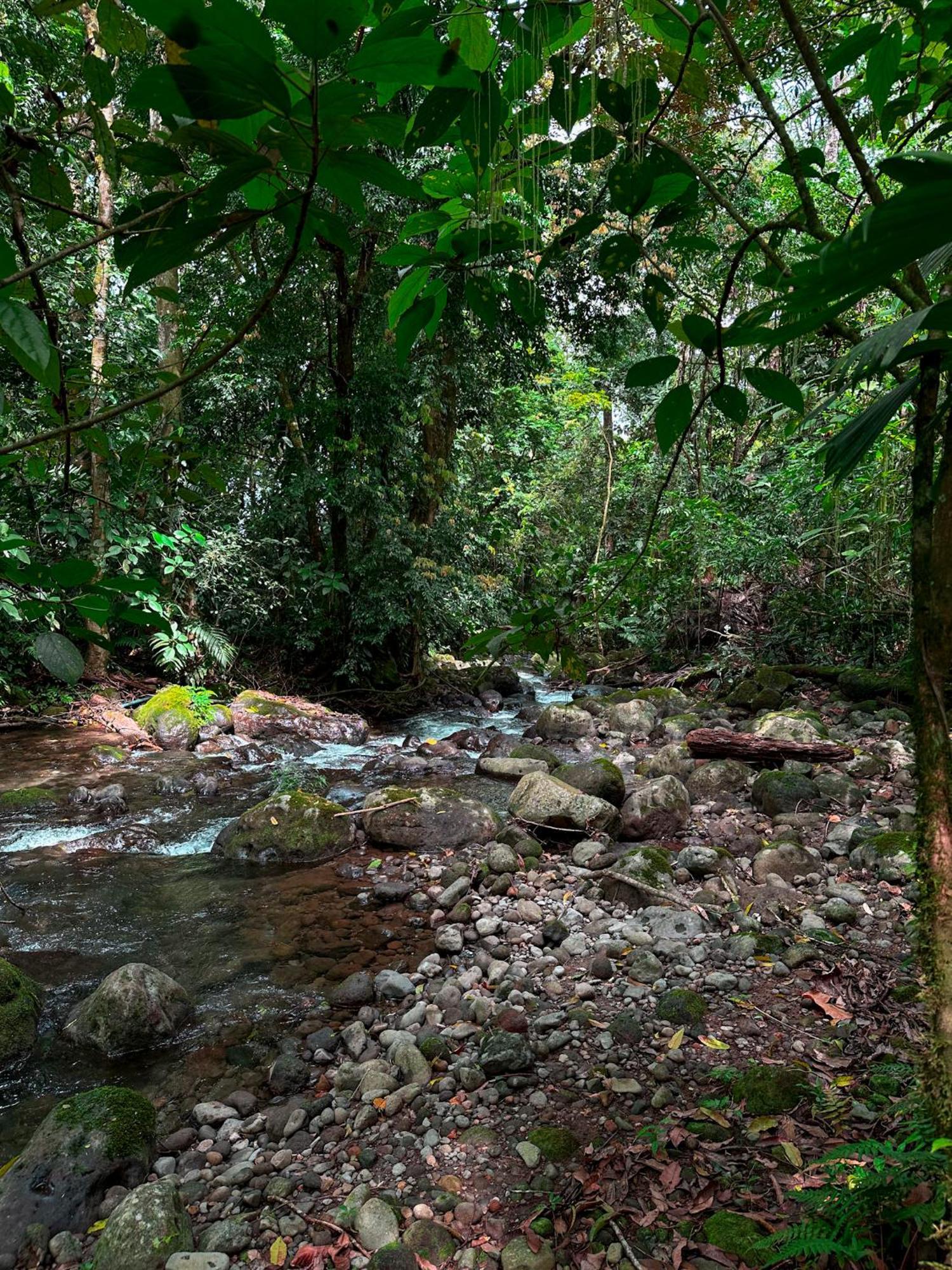 Cabanas Rio Escondido En La Fortuna Екстериор снимка