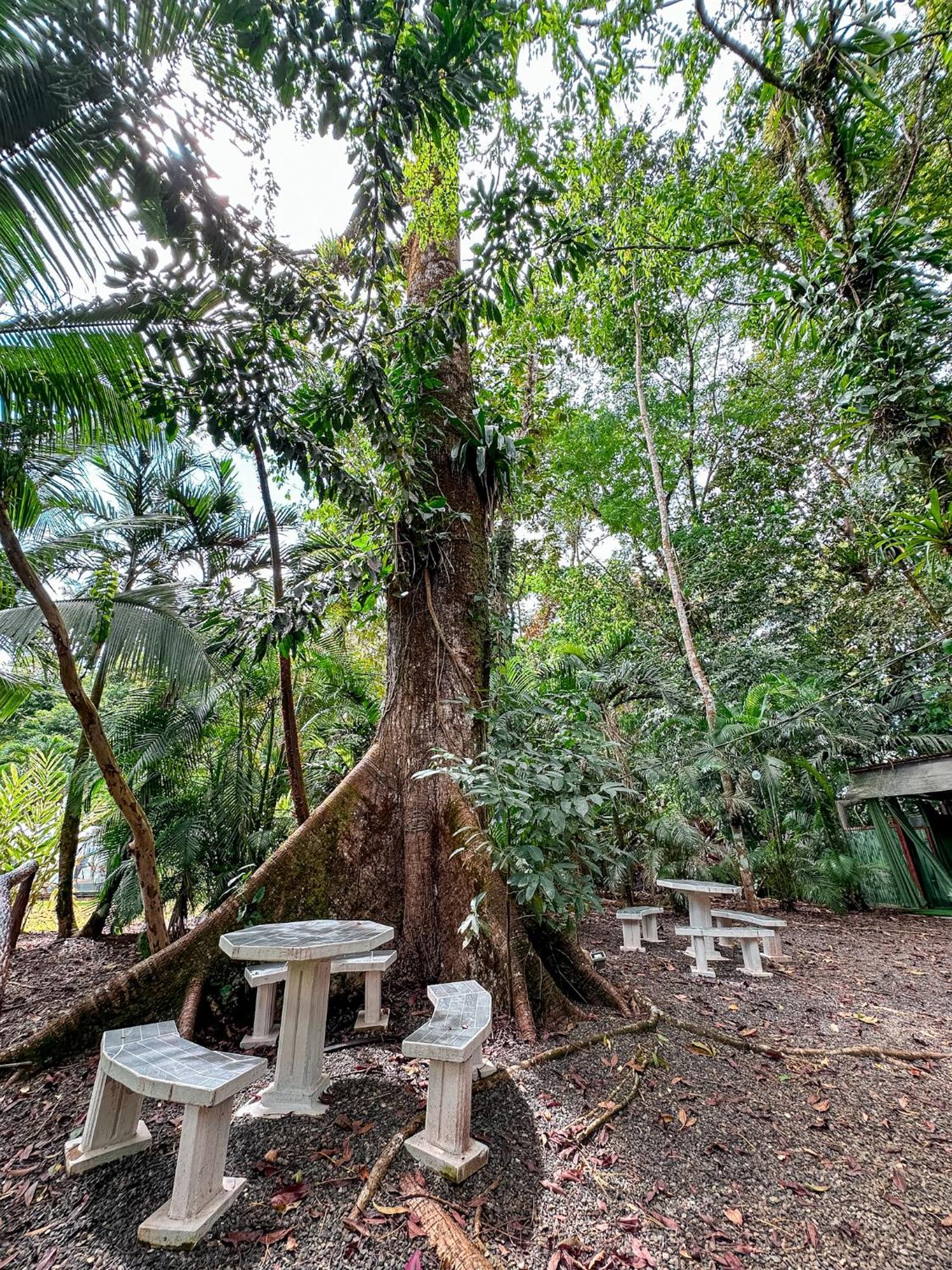Cabanas Rio Escondido En La Fortuna Екстериор снимка