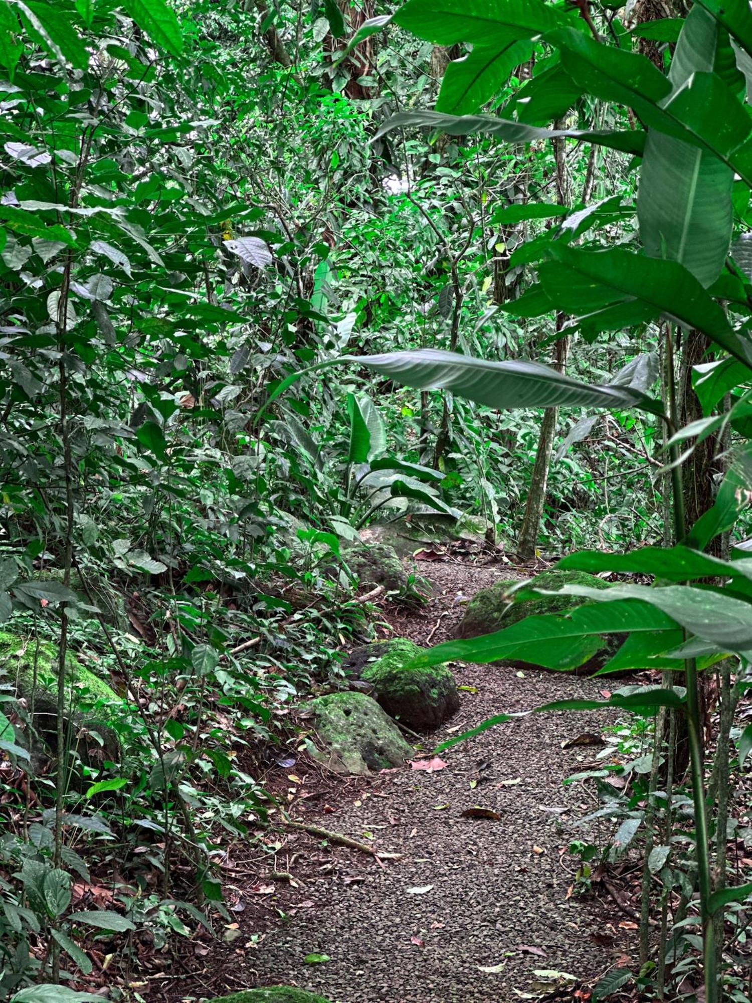 Cabanas Rio Escondido En La Fortuna Екстериор снимка